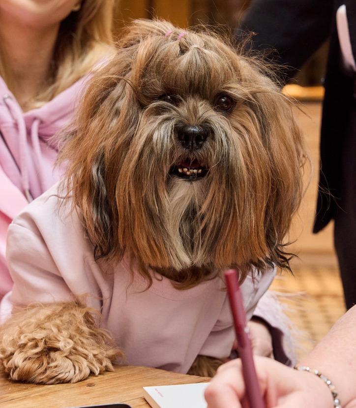 Buddy — Prezes Buddy's Events